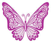 Attractive Violet Butterfly Image
